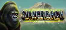 Silverback Multiplier Mountain