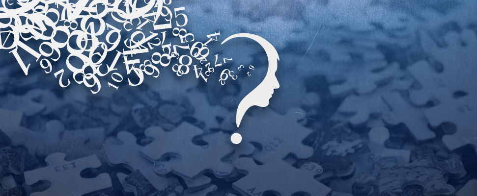 The Guess The Number Puzzle