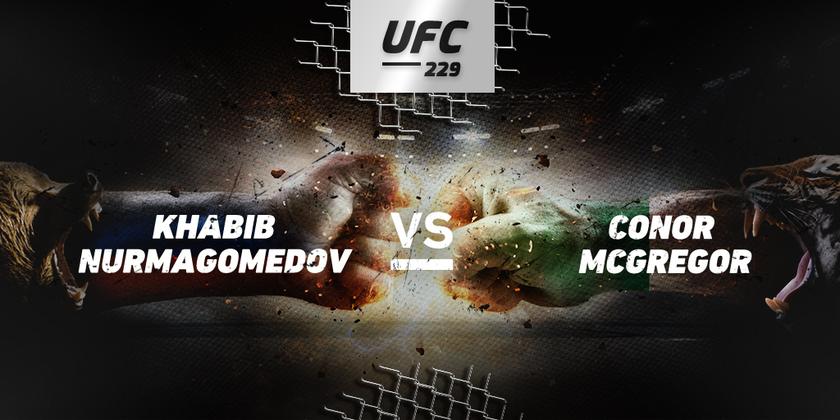 article ufc 229 nurmagomedov mcgregor hero